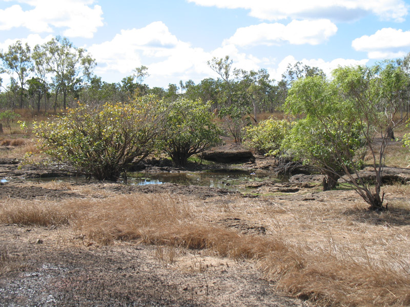 Lakefield National Park - Walkabout